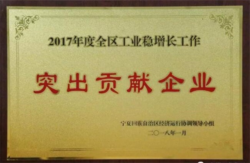 2017年全區(qū)工業(yè)穩(wěn)增長工作突出貢獻企業(yè)7.jpg